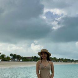 SHEIN Brown Cover Bikini Women's