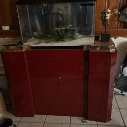 Fish Tank Vintage 