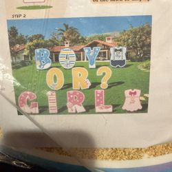 Baby Gender Reveal Lawn Display New