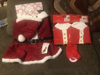 Dog Santa outfit