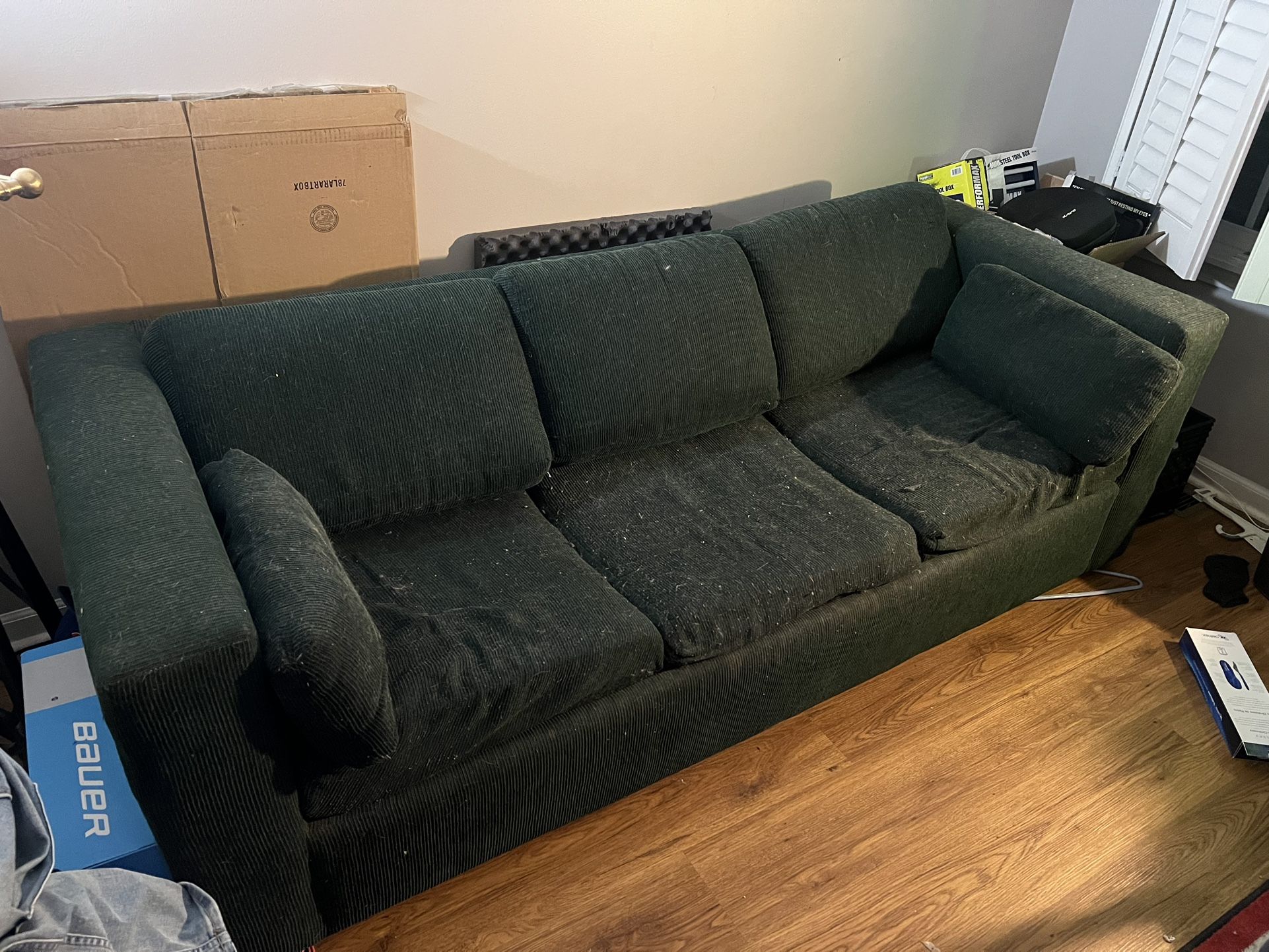 Sleeper Sofa - Forest Green - Free!