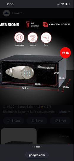 SentrySafe Electronic Security Safe