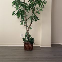 Artificial Dracaena Silk Plant