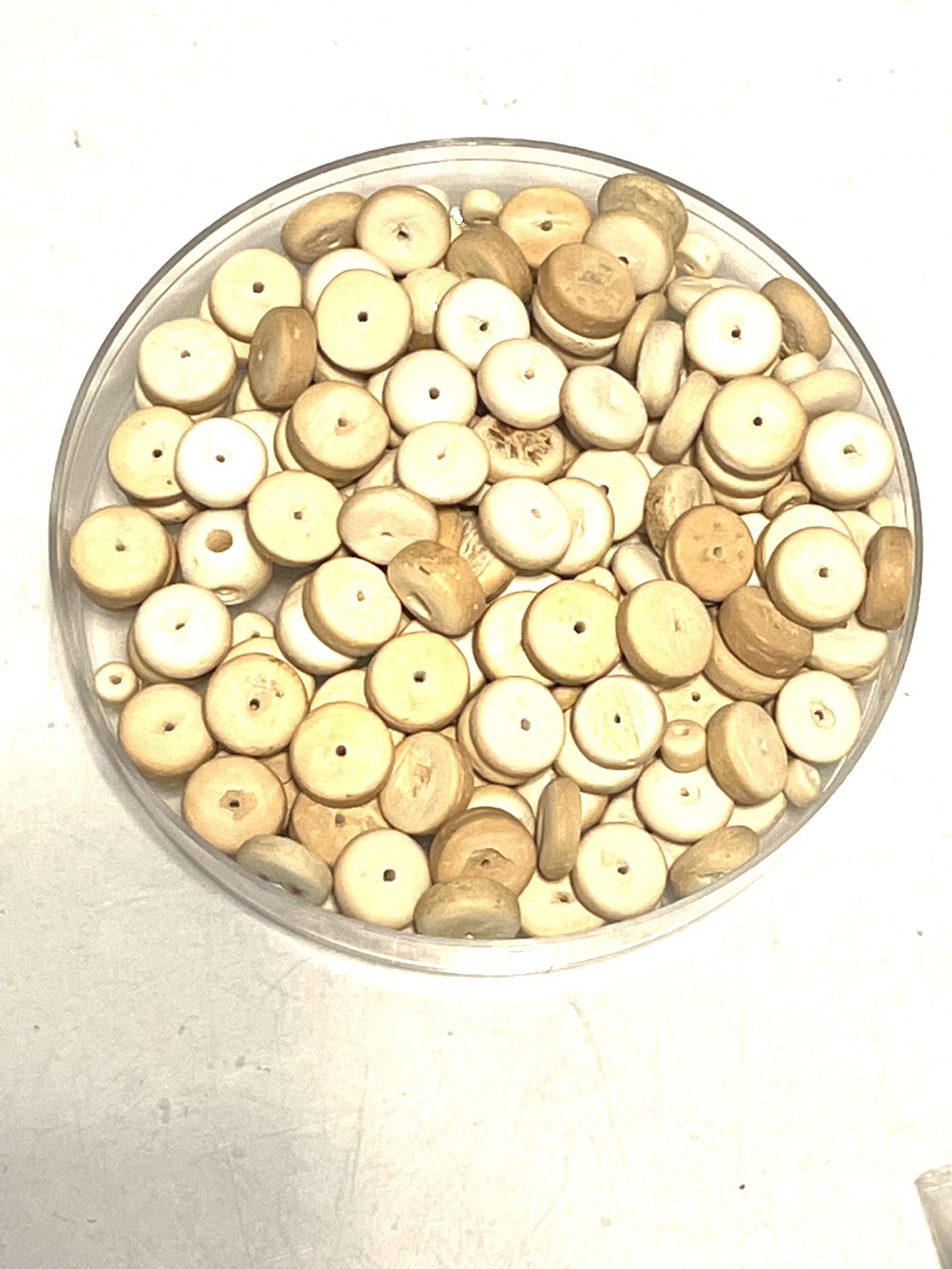 Lot Of 4x10mm Bone Disc Beads