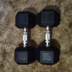 Hex Dumbbells 30LB Pair