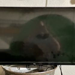 32 Inch Roku Tv With Remote.