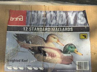 12 standard mallard decoys brand new