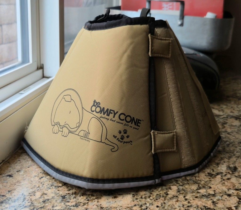 Dog Cone