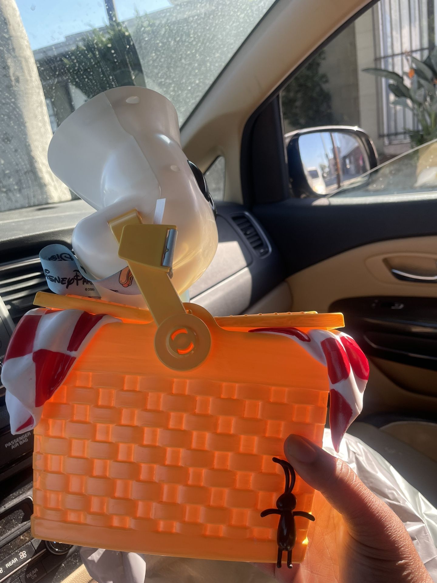 Theme Park Popcorn Bucket