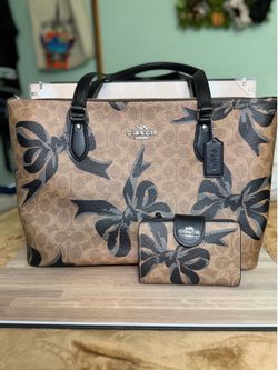 Coach bow set