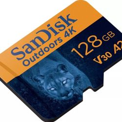 SanDisk 128GB Outdoors 4K microSDXC UHS-I Memory Card 2-Pack SDSQXAA-128G-GN6VT