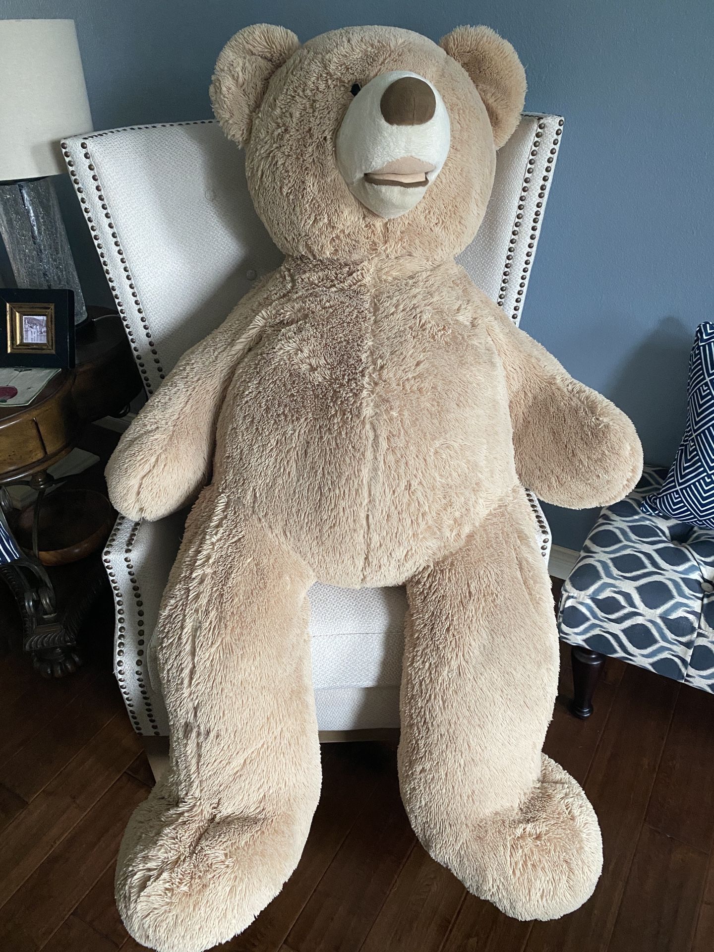 Giant Costco teddy bear