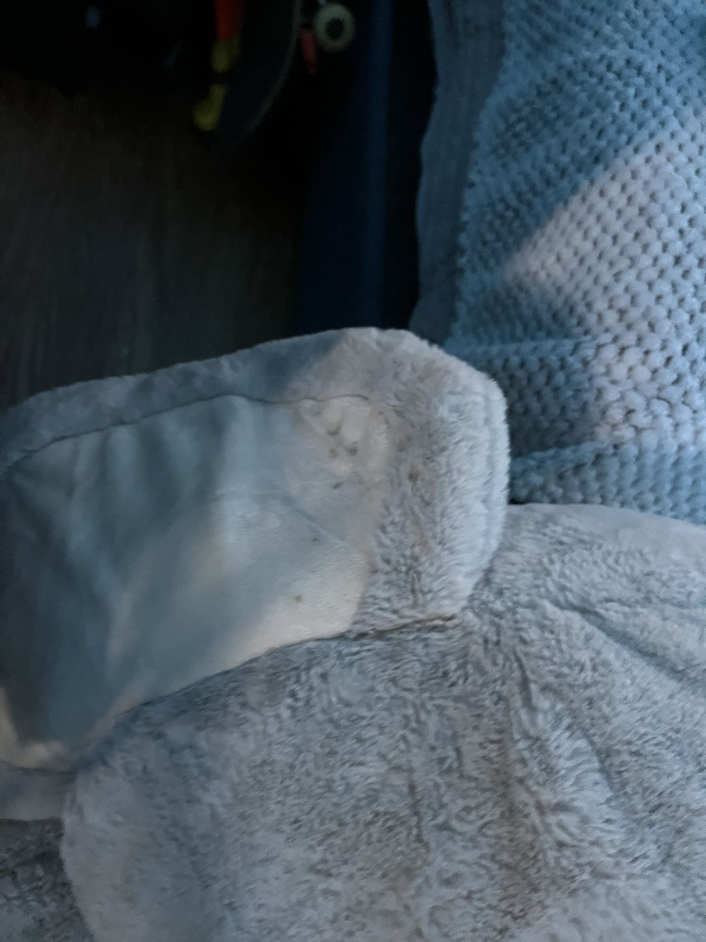 Elephant Plushy