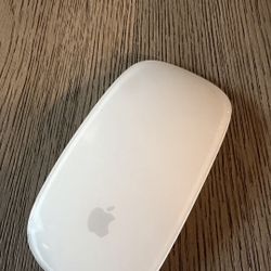 Apple Mouse & Charger 