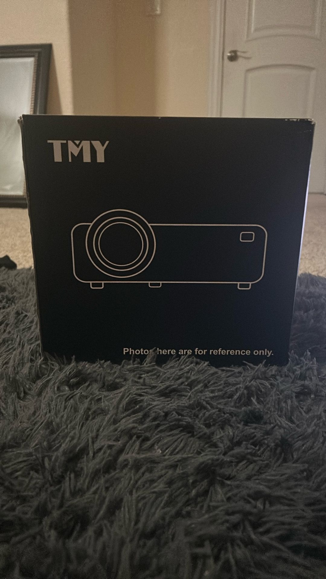 TMY Projecter