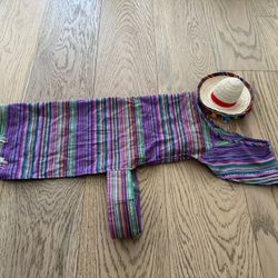 Fiesta Dog Costume Serape 