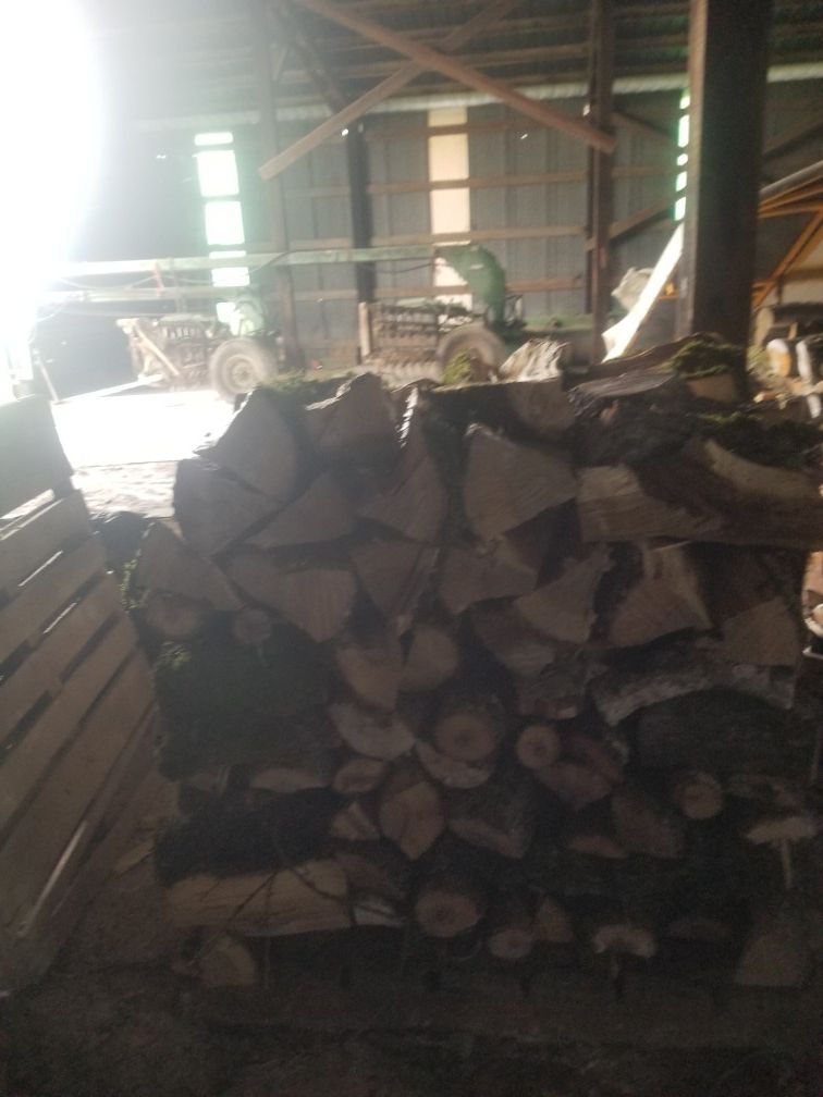 Oak firewood