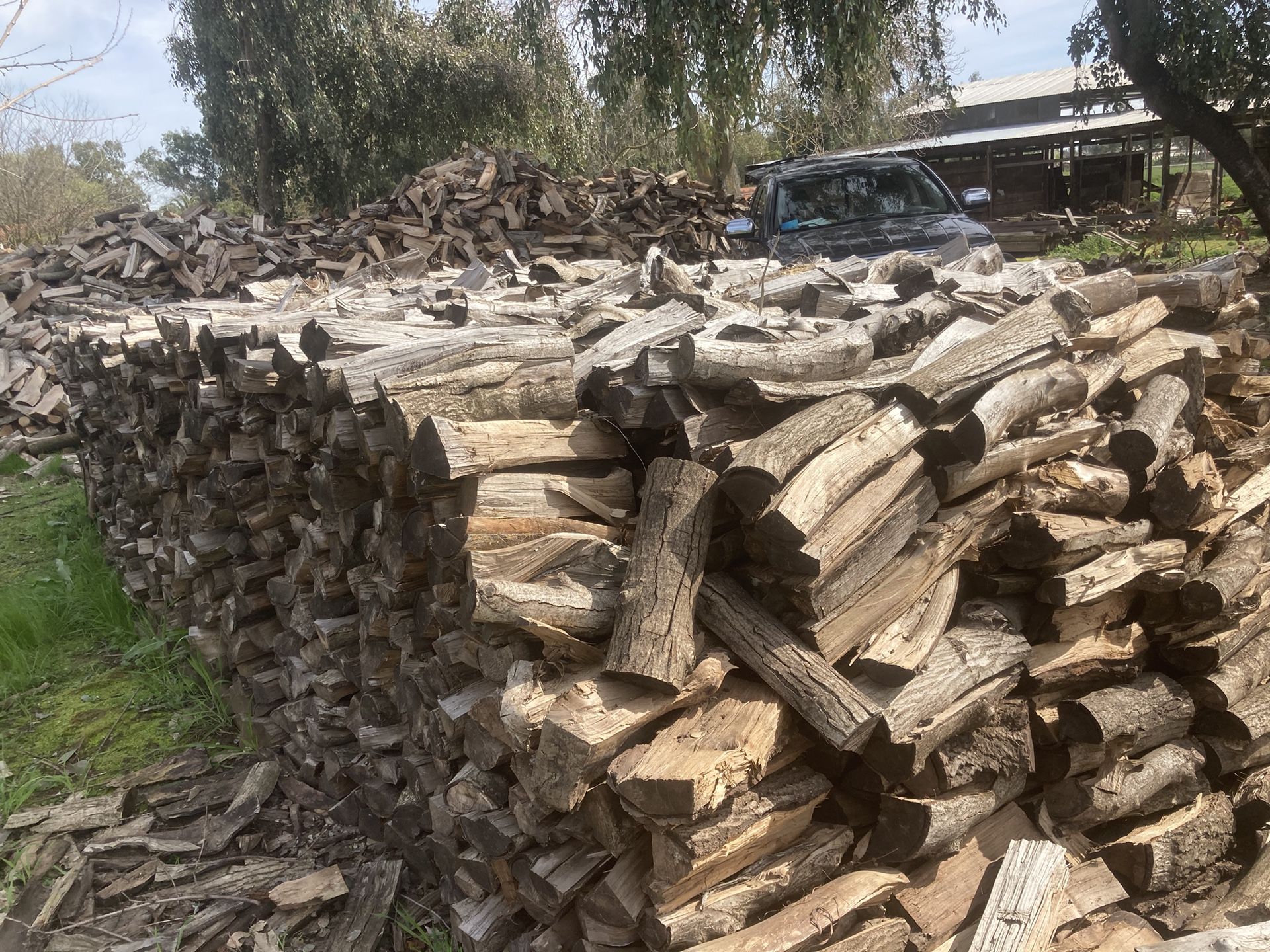 FIREWOOD