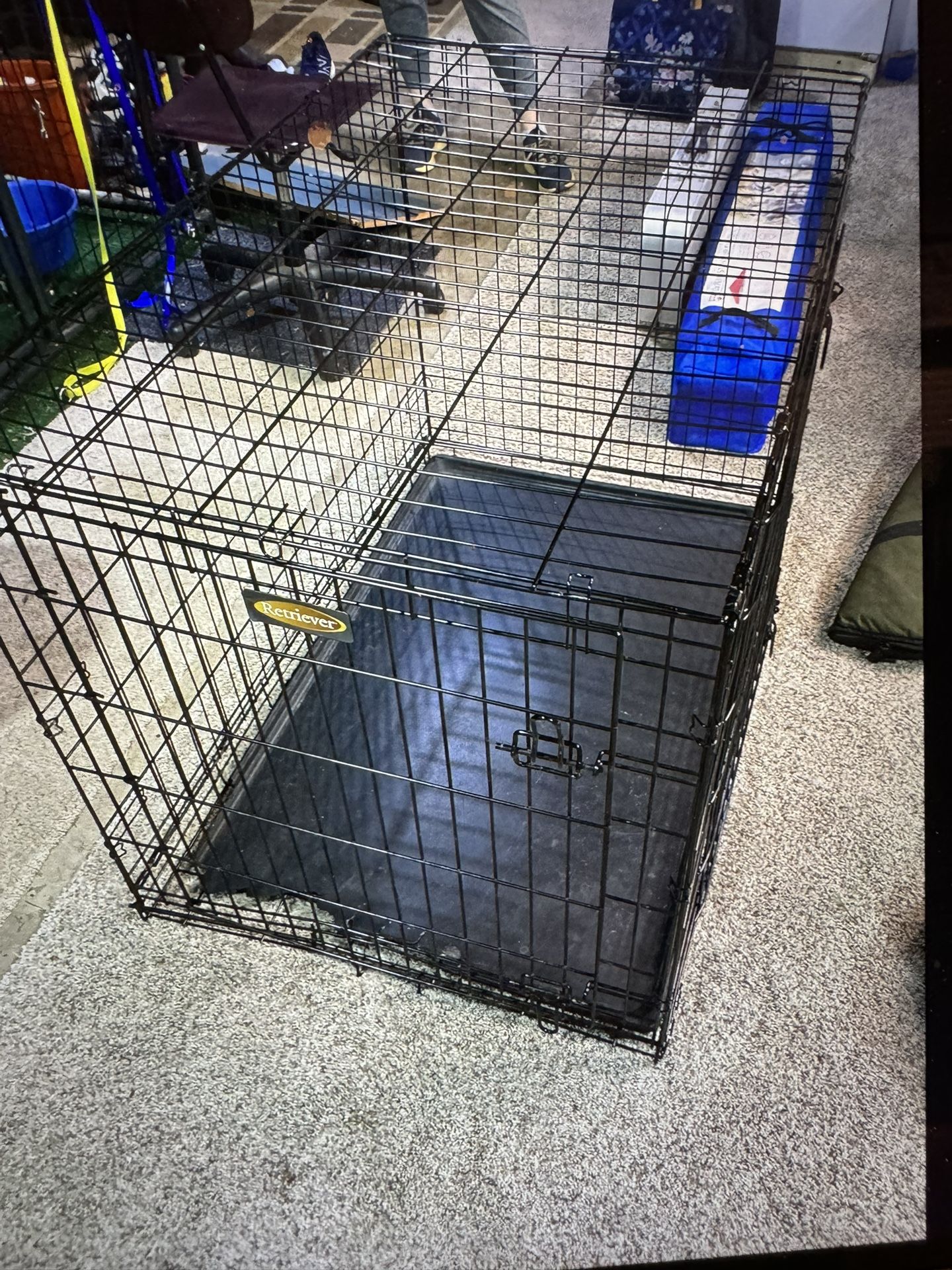 Dog Crate Or Dog Kennel