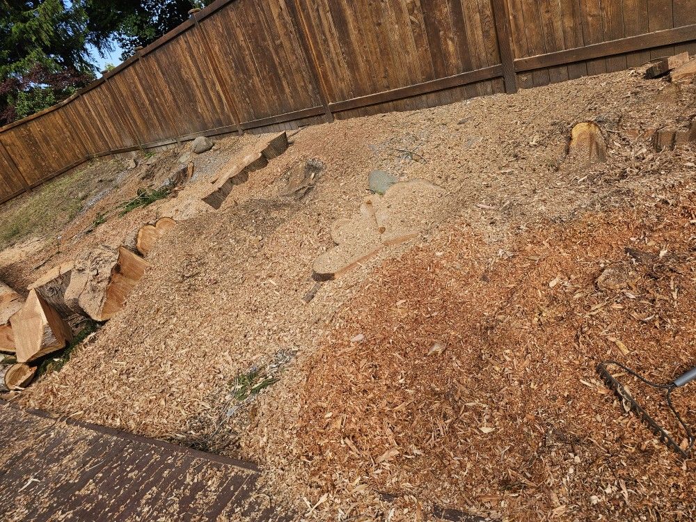Free Cedar Shavings