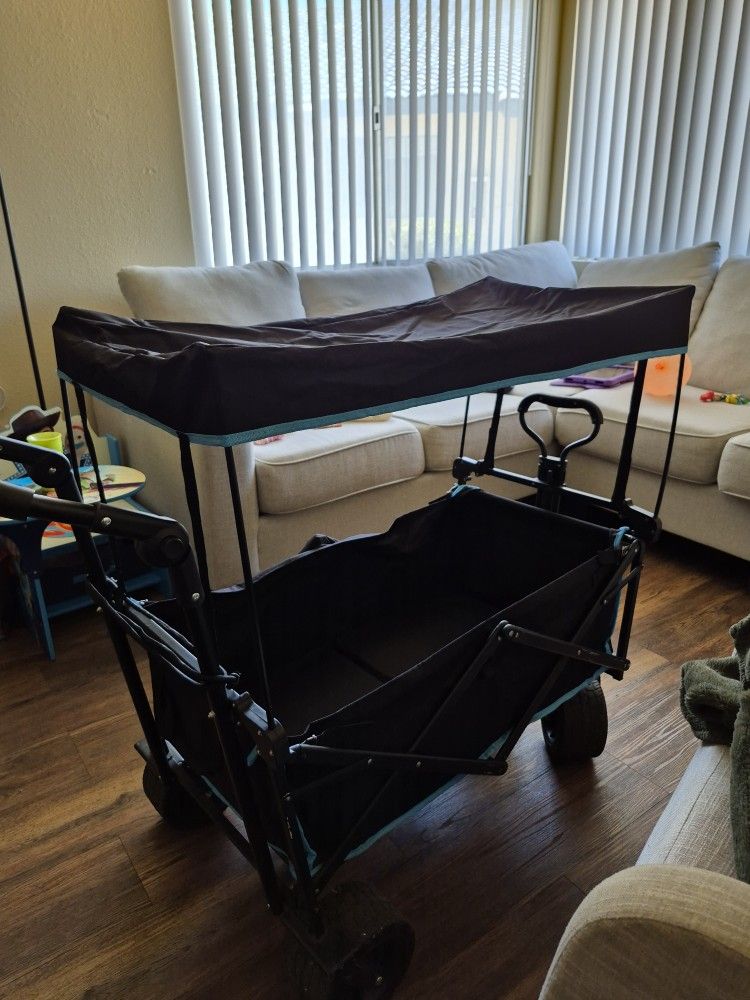 Pull/Push Wagon 