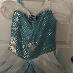 Disney Princess Costumes 