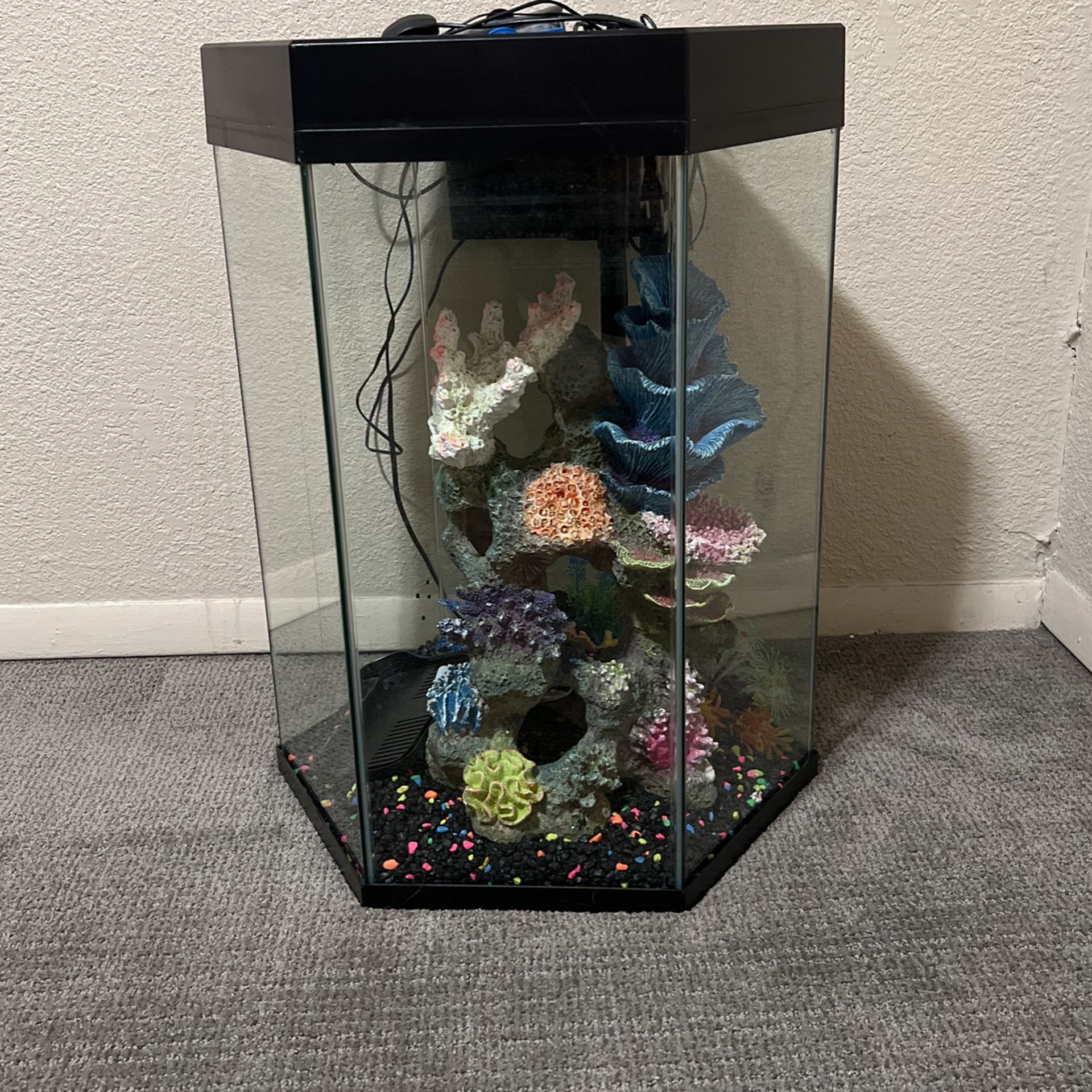 20 Gallon Hexagon Fish Tank