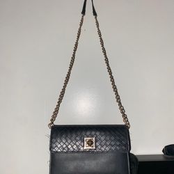 Woman Purse 