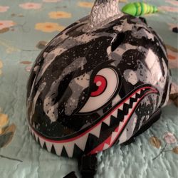 Helmet Shark