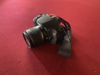 Need Photographer