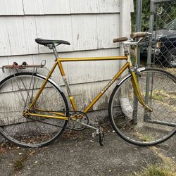 Rare Vicini Italian Racing Bike