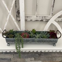 plant holder