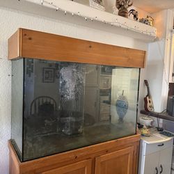110 Gallon Tempered Glass Tank with Stand and Hood
