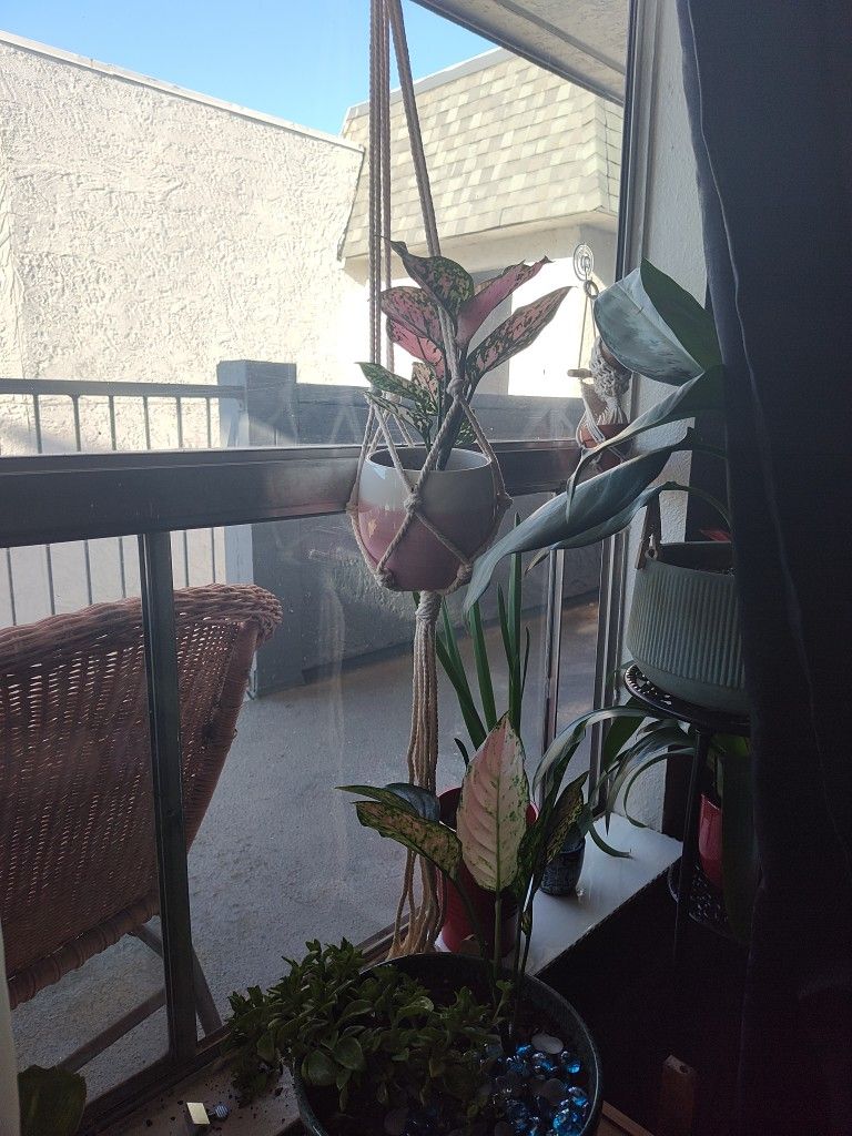 Woven Plant Hangers