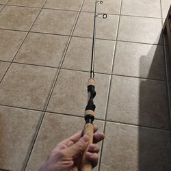 Fenwick Techna PX spinning rod