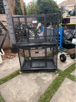 Animal cages and crates