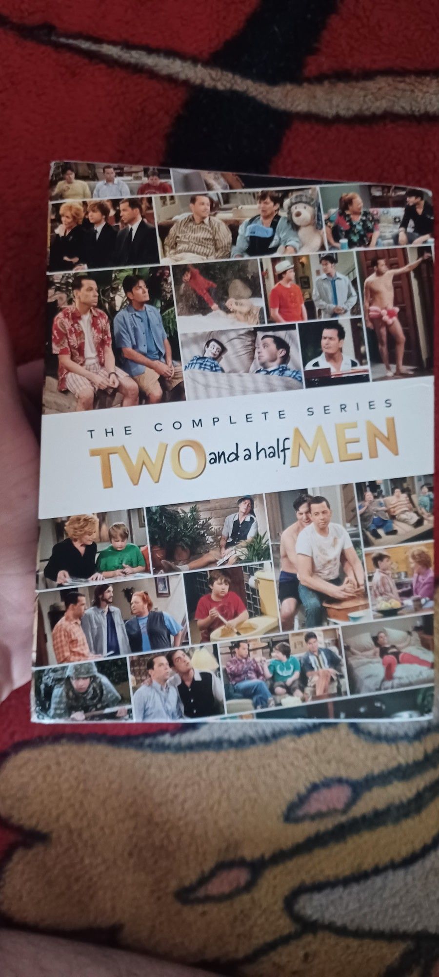Two and a Half Men: The Complete Series DVD