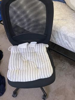 Office Chair + Cushion