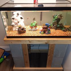 Breeder Fish Tank With Stand 