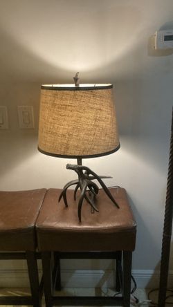 Unique antler lamp