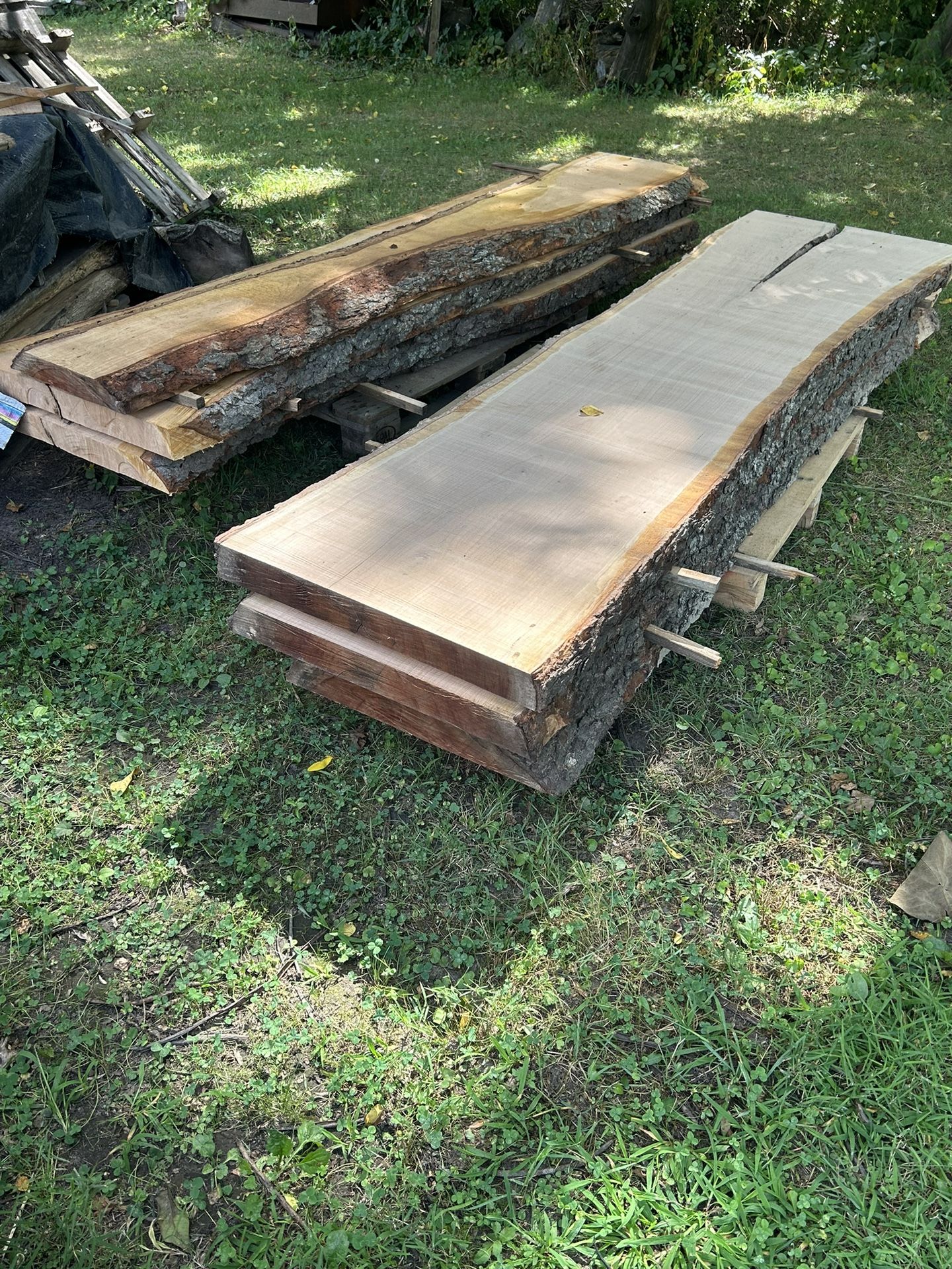 Fresh Cut 2-3 Inch Thick Cherry Live Edge Slabs