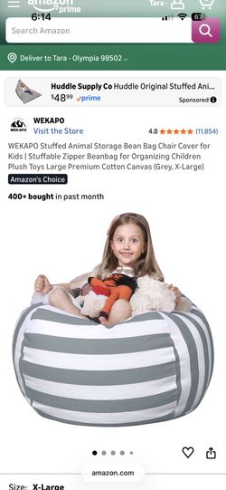 Storage Bean Bag Chair