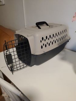 Hard- sized pet carrier.