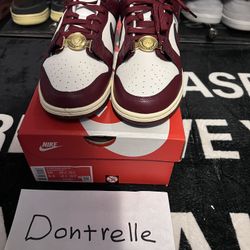 Brand new Nike dunk Sisterhood Sail Team