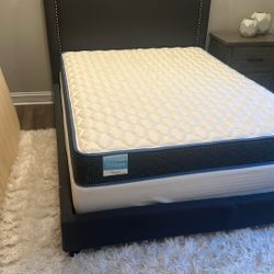 Brand New Queen Mattress And Box Spring 