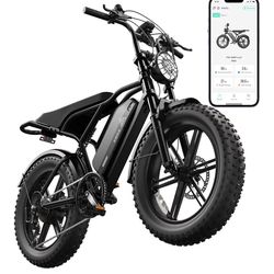 TST Electric Bike for Adults