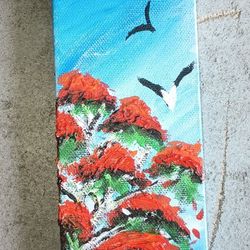 Royal Poinciana By D. Tynes Gibson 
