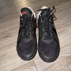 Nike LeBron Basketball Shoes
