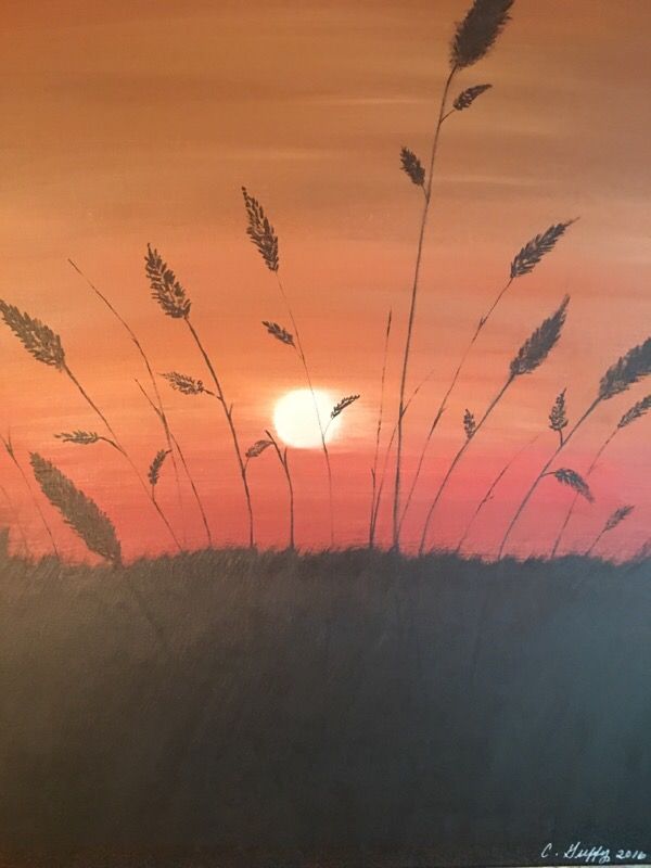 Sunset in the wheat fields
