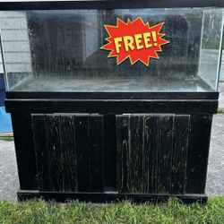 FREE 75 Gallon Fish Tank With Stand 